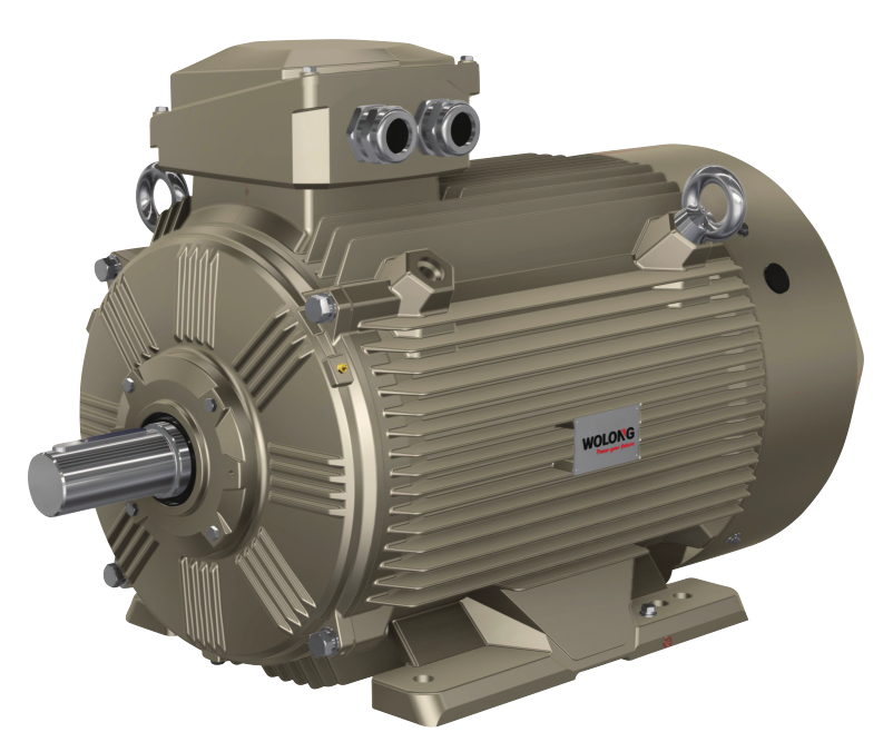 1650352453294060p5A0.png WEPM 變頻調(diào)速永磁電機.png